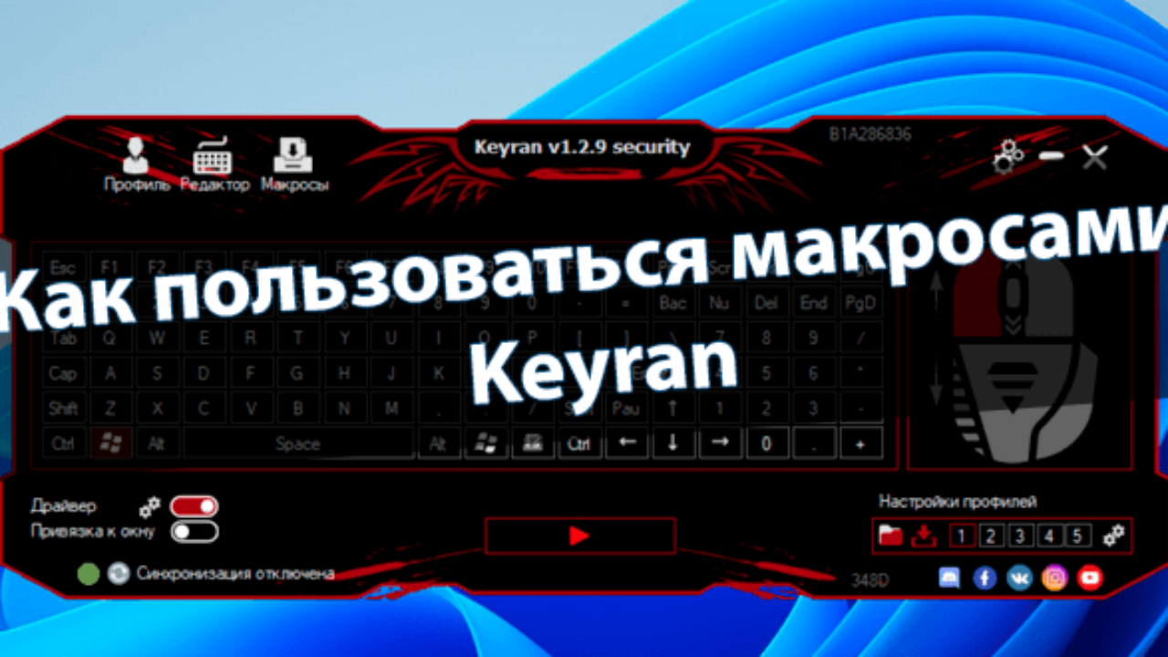 Как пользоваться макросами Keyran - Windd.pro